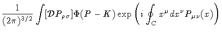 $\displaystyle \frac{1}{(2 \pi) ^{3/2}}
\int [ {\mathcal{D}} P _{\rho \sigma}]
\Phi( P - K )
\exp
\left(
i
\oint _{C} x ^{\mu} dx ^{\nu}
P _{\mu \nu} (x)
\right)$