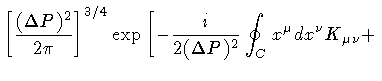 $\displaystyle \left[
\frac{(\Delta P) ^{2}}{2 \pi}
\right] ^{3/4}
\exp
\left[
-
\frac{i}{2 (\Delta P) ^{2}}
\oint _{C} x ^{\mu} dx ^{\nu} K_{\mu \nu}
+
\right.$