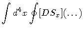 $\displaystyle \int d ^{4} x
\oint [ D S _{x} ] ( \dots )$