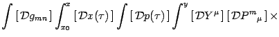 $\displaystyle \int \left[\, {\cal D}g_{m n}\, \right]
\int^x_{x_0} \left[\, {\c...
...eft[ \, {\cal D} Y^\mu\, \right]
\left[ \, {\cal D} P^m{}_\mu \, \right]
\times$