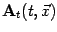 $\displaystyle \mbox{\textit{\bf {}A}}_t(t, \vec x)$