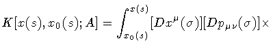 $\displaystyle K [ x (s) , x _{0} (s) ; A ]
=
\int _{ x _{0} (s)} ^{x (s)}
[D x ^{\mu} (\sigma)] [D p _{\mu \nu} (\sigma)] \times$