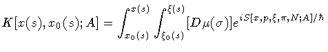 $\displaystyle K [ x (s) , x _{0} (s) ; A ]
=
\int _{ x _{0} (s)} ^{x (s)}
\int ...
...(s)} ^{\xi (s)} [D \mu (\sigma)]
e ^{i S [ x , p , \xi , \pi , N ; A ] / \hbar}$