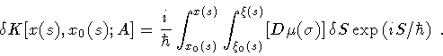 \begin{displaymath}\delta K [ x (s) , x _{0} (s) ; A]
=
\frac{i}{\hbar}
\int ...
...(\sigma)] \,
\delta S
\exp \left( {i S / \hbar} \right)
\ .
\end{displaymath}