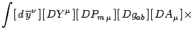 $\displaystyle \int [  d \overline y^\nu ] [  DY^\mu ][ DP_{m \mu} ]
[  Dg_{ab} ][  DA_\mu  ]
\times$