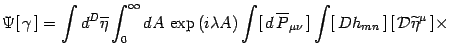 $\displaystyle \Psi[ \gamma  ]=\int d^D\overline\eta
\int_0^\infty dA \exp\le...
...line P_{\mu\nu} ]\int [  Dh_{mn} ] 
[  {\cal D}\widetilde\eta^\mu ]\times$